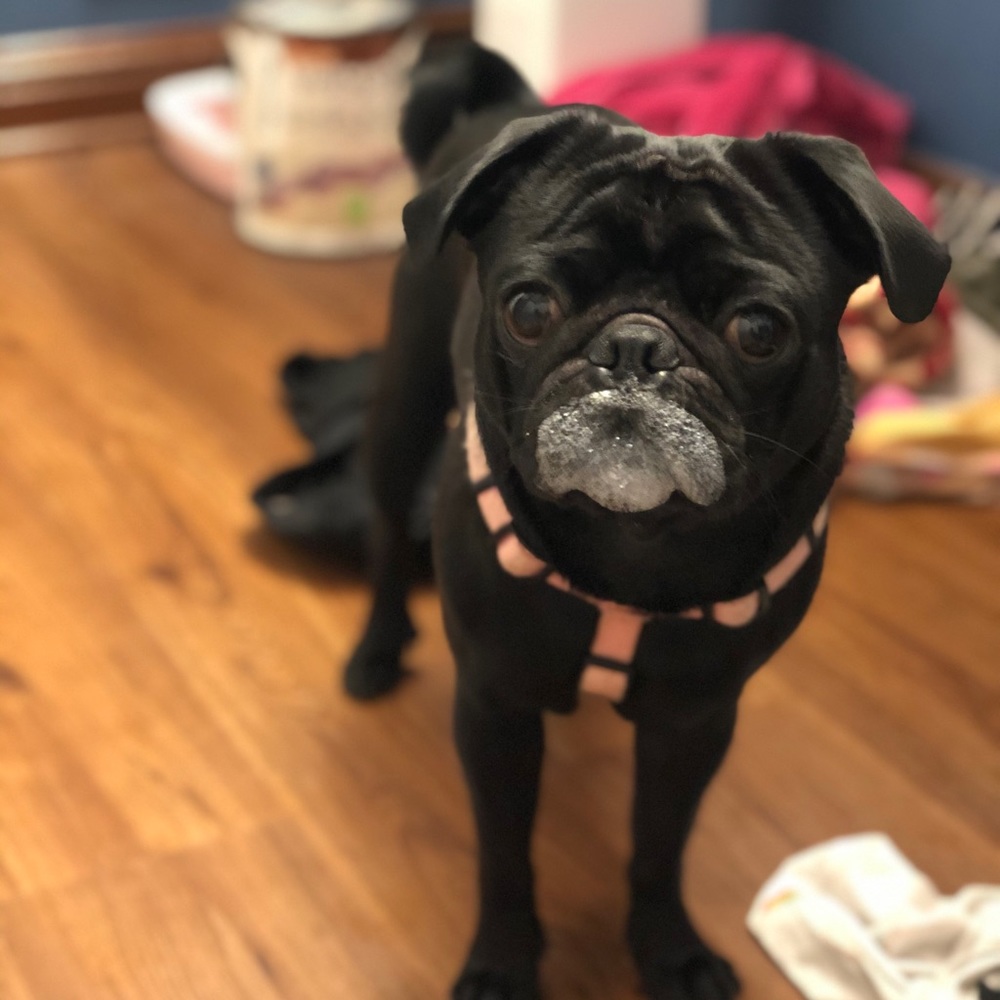 Meet your Posher, Melissa